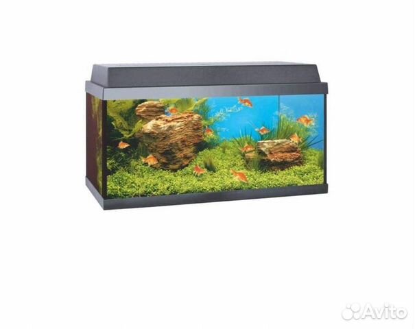 juwel korall 60 goldfish aquarium review