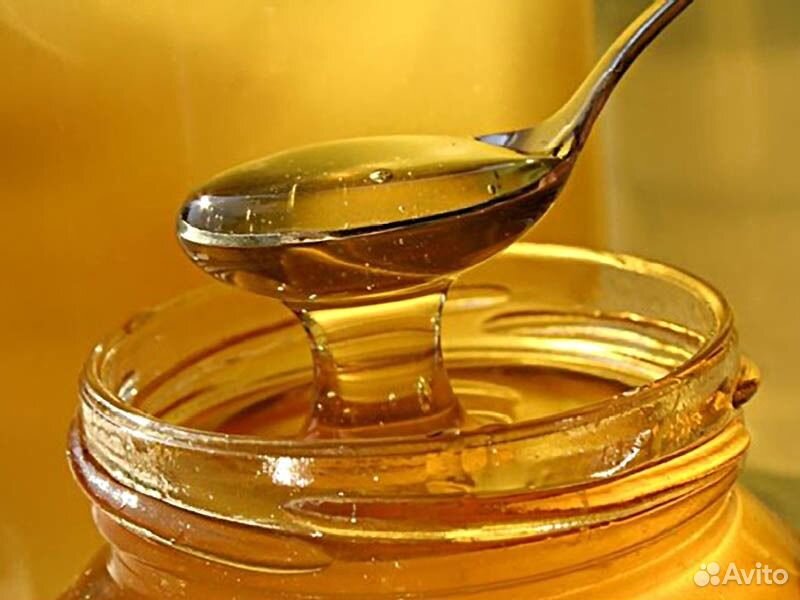 Продам натуральный пчелиный мед купить на Зозу.ру - фотография № 3