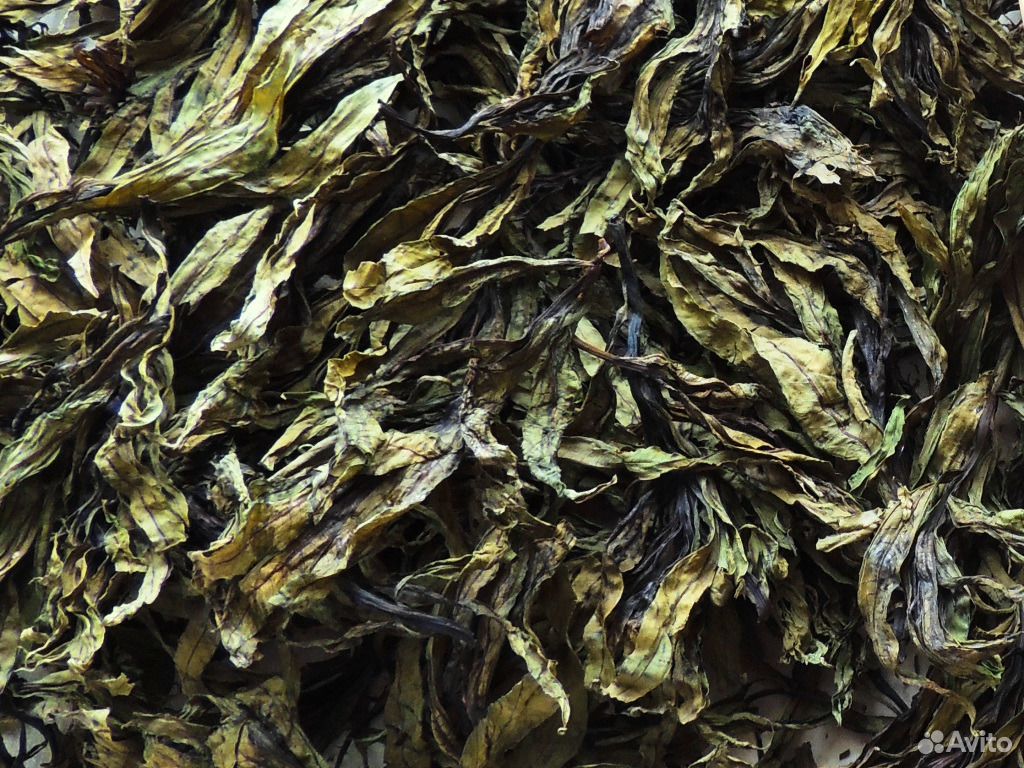 Копорский чай классический "Золото Мещеры" купить на Зозу.ру - фотография № 5