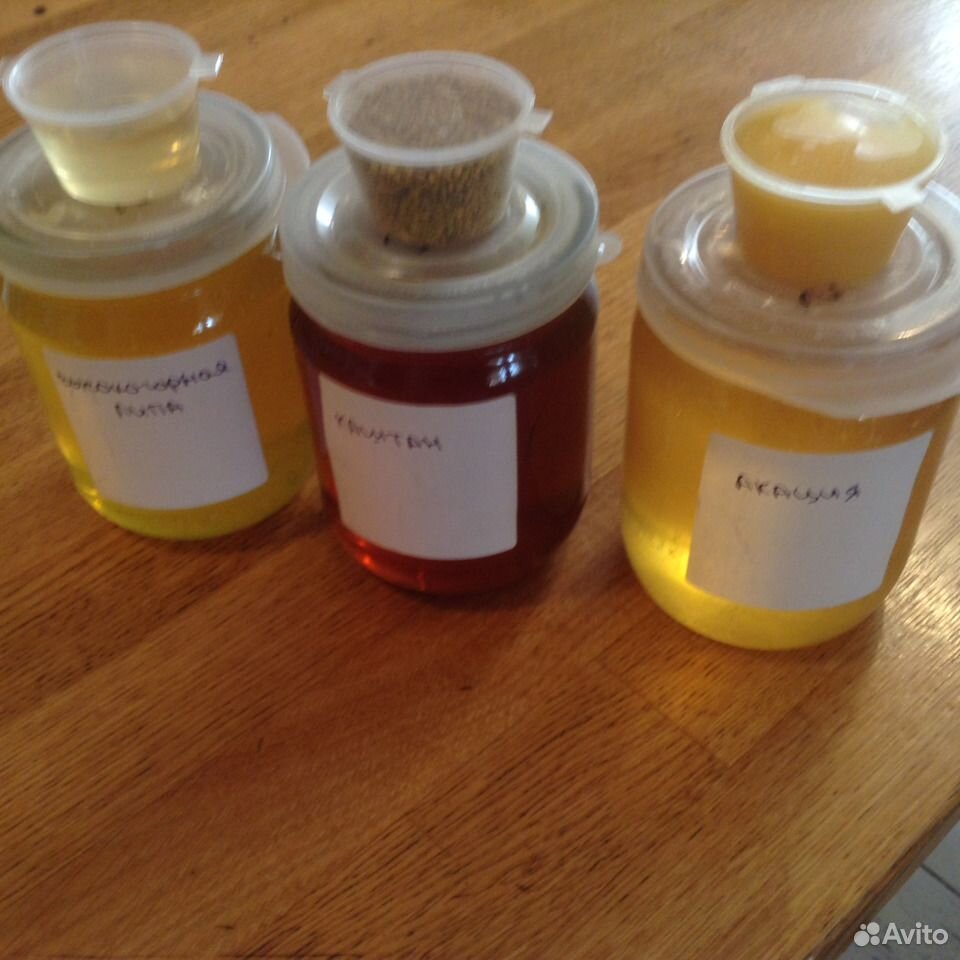 Меняю мёд на цветы для сада или саженцы плодовых купить на Зозу.ру - фотография № 1