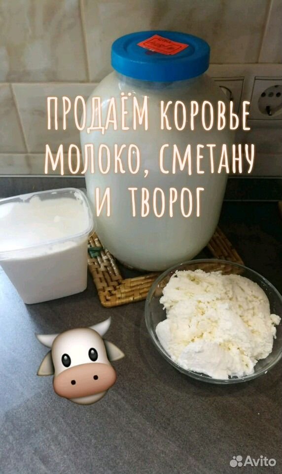 Коровье молоко, сметана, творог купить на Зозу.ру - фотография № 1