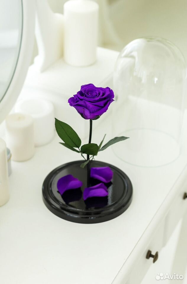 Вечная роза Кинг Сайз (purple) купить на Зозу.ру - фотография № 1