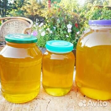 Мед луговое разнотравие (3 литра ) купить на Зозу.ру - фотография № 1