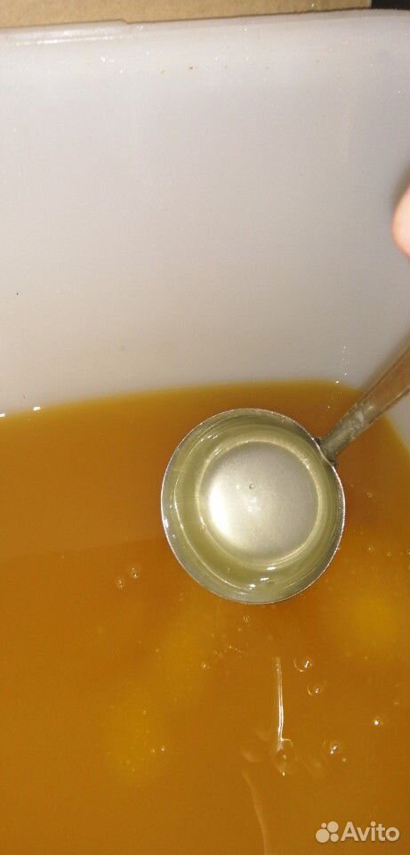 Мёд высокогорный купить на Зозу.ру - фотография № 1