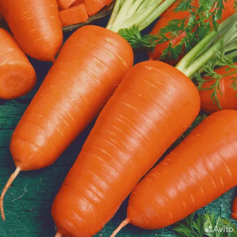Семена Моркови купить на Зозу.ру - фотография № 1