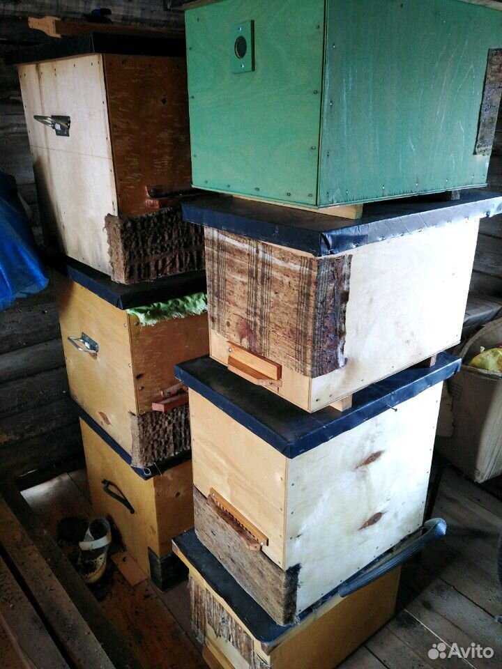 Ловушки для пчел купить на Зозу.ру - фотография № 2