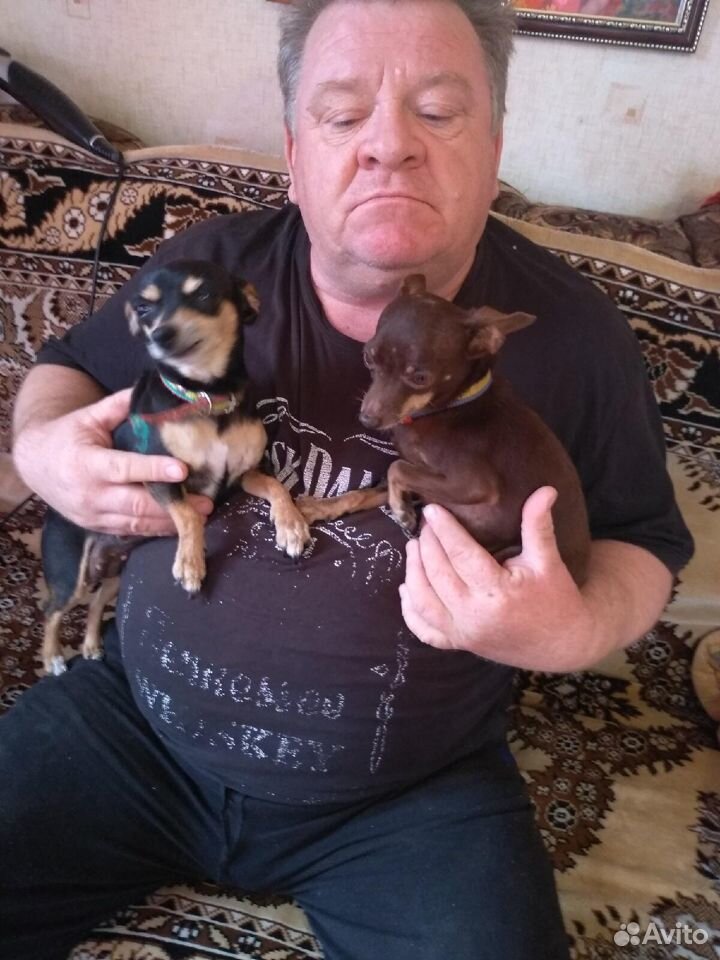 3 щенка купить на Зозу.ру - фотография № 4