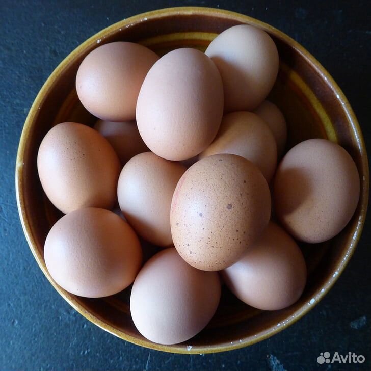 Яйцо домашнее купить на Зозу.ру - фотография № 3