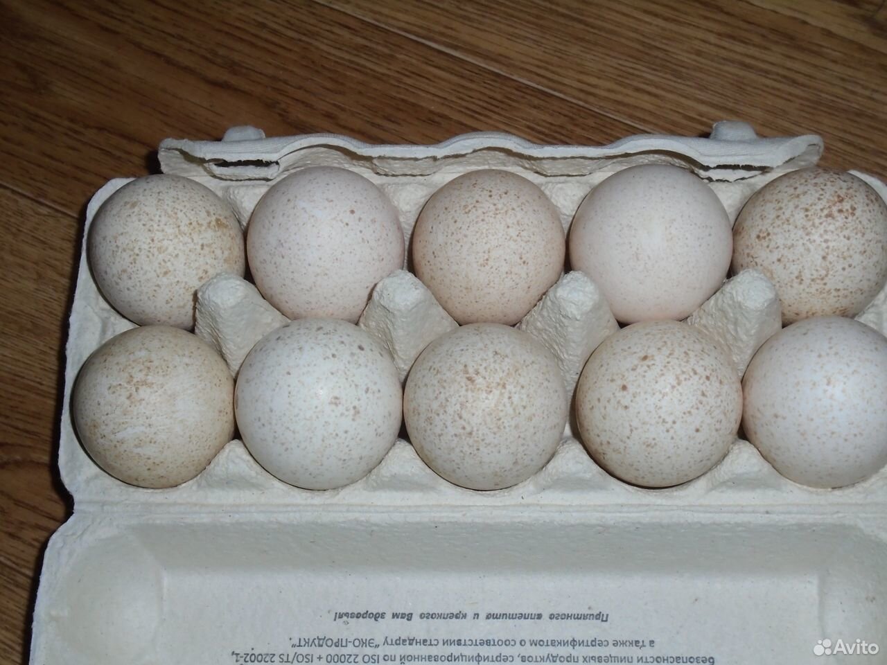 Яйцо купить на Зозу.ру - фотография № 1