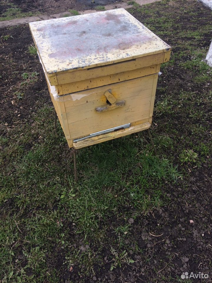 Пчелосемьи с ульями купить на Зозу.ру - фотография № 5