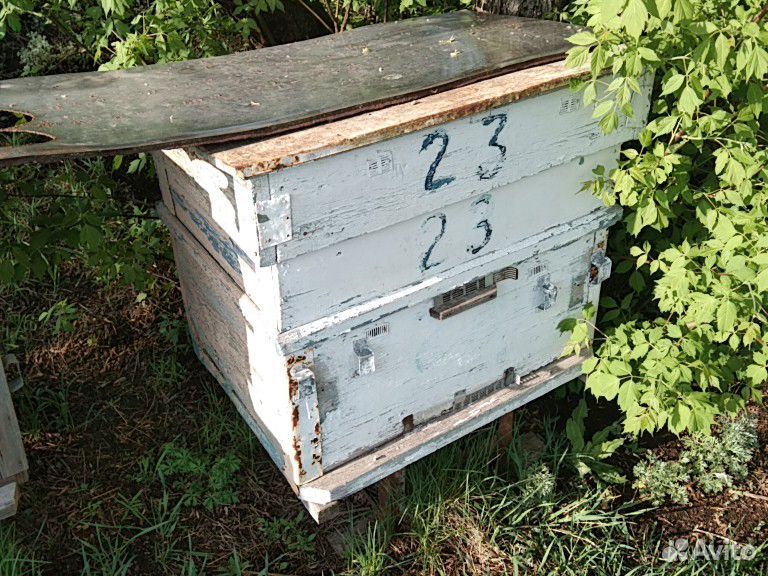 Ульи б/у, раздвижная платформа для перевозки пчёл купить на Зозу.ру - фотография № 2