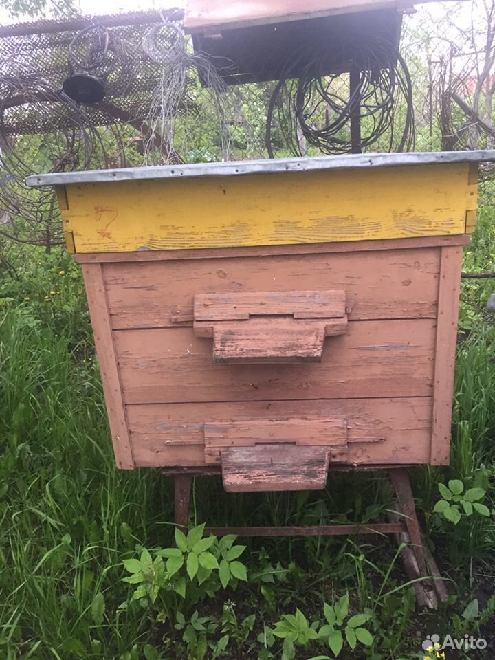 Пчелиные улья купить на Зозу.ру - фотография № 5