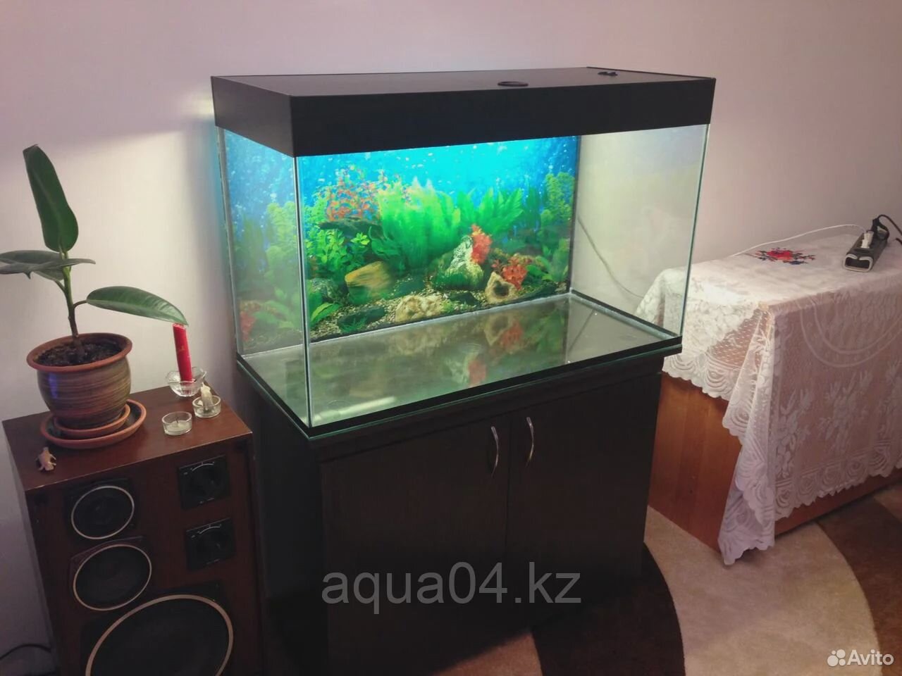 Aqua world купить на Зозу.ру - фотография № 3