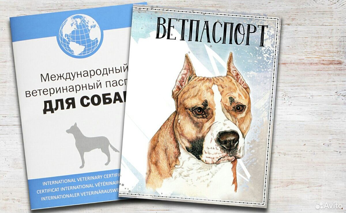 Ветеринарный паспорт купить на Зозу.ру - фотография № 1
