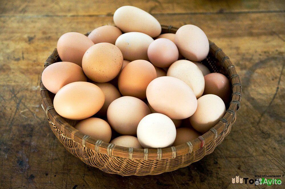 Яйца деревенские купить на Зозу.ру - фотография № 1