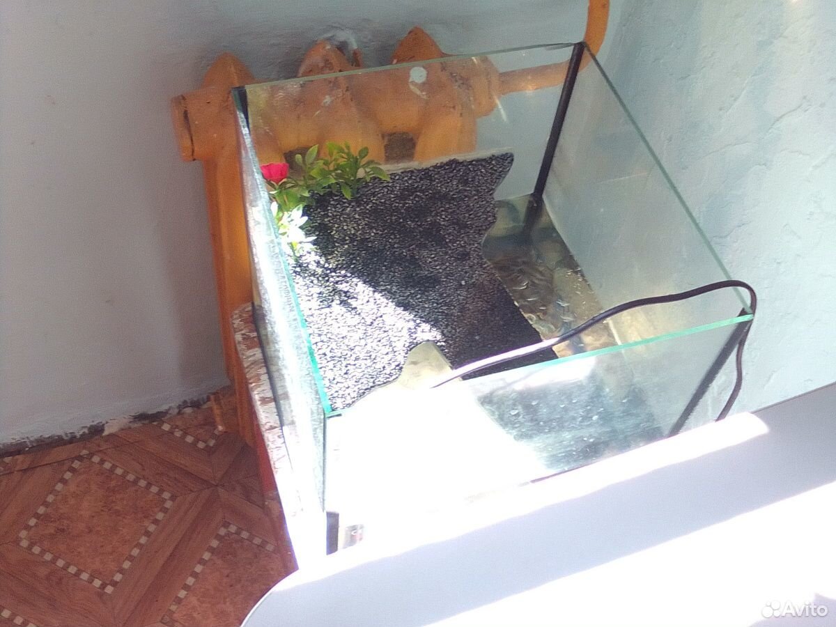 Черепаха с аквариумом купить на Зозу.ру - фотография № 4