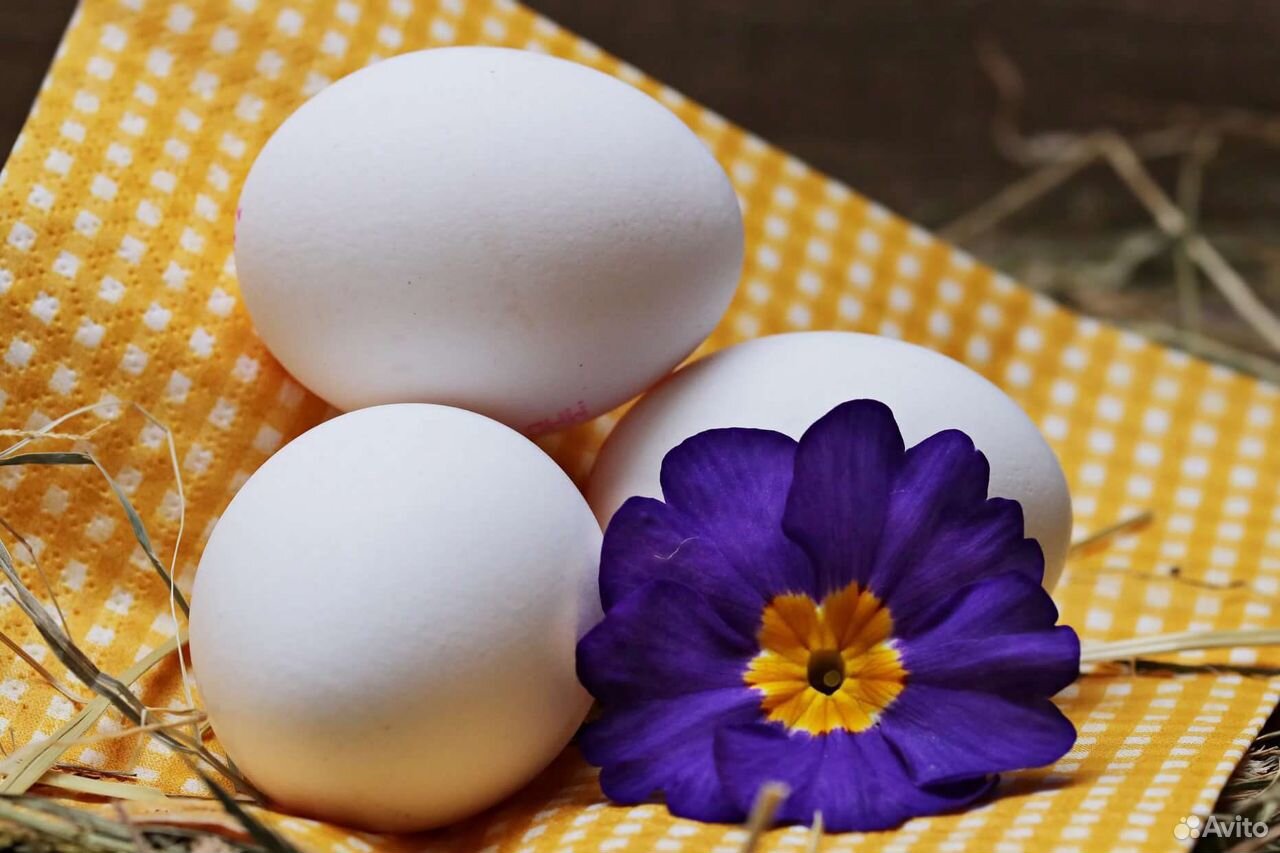 Яйца домашние (фермерские) куриные купить на Зозу.ру - фотография № 1