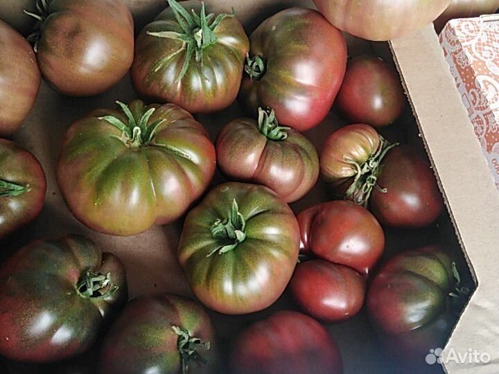 Продажа помидоров купить на Зозу.ру - фотография № 2