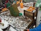 Поиск инвесторов в работающий рыбный бизнес объявление продам