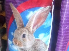 Purina универсальный комбикорм для кроликов