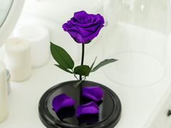Вечная роза Кинг Сайз (purple)