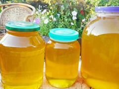 Мед луговое разнотравие (3 литра )