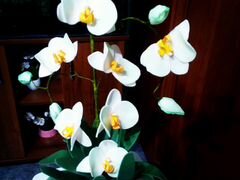 Орхидея из изолона