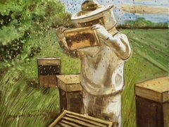 Пчелопакеты, пчелосемьи