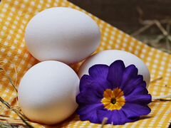Яйца домашние (фермерские) куриные