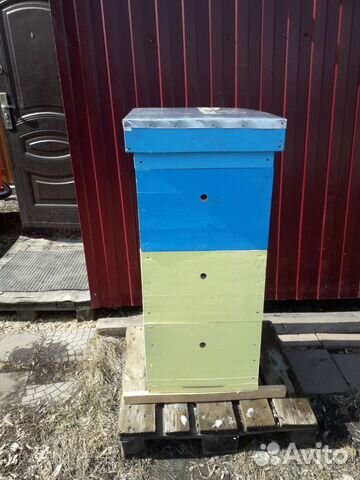 Ульи кедровые