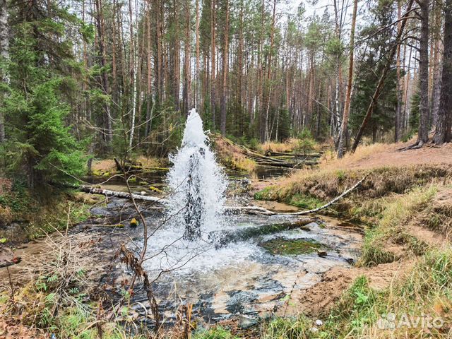 Тур выходного дня