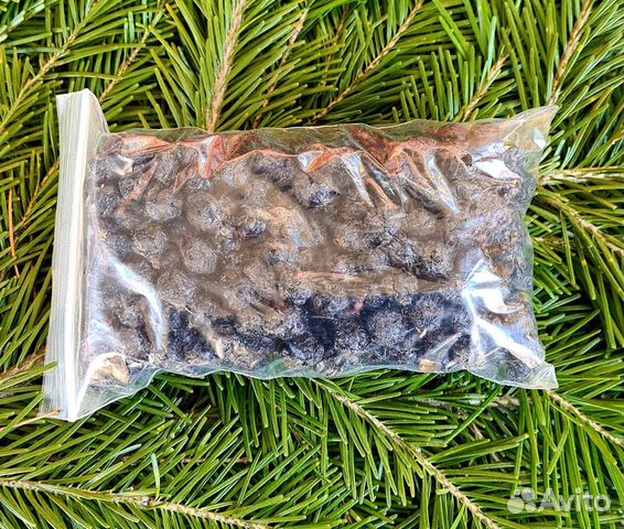 Амурский бархат при сахарном диабете