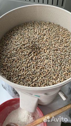 Мука свежесмолотая цельнозерновая