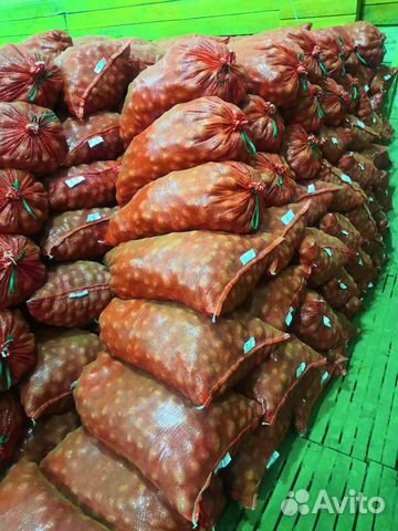 Семенной картофель