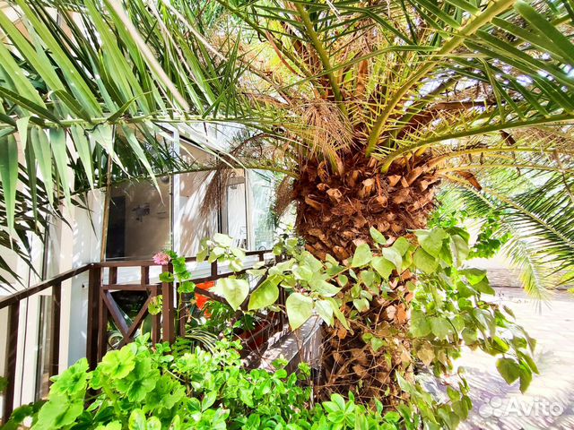 

Квартира-студия, 17 м², 2 кровати