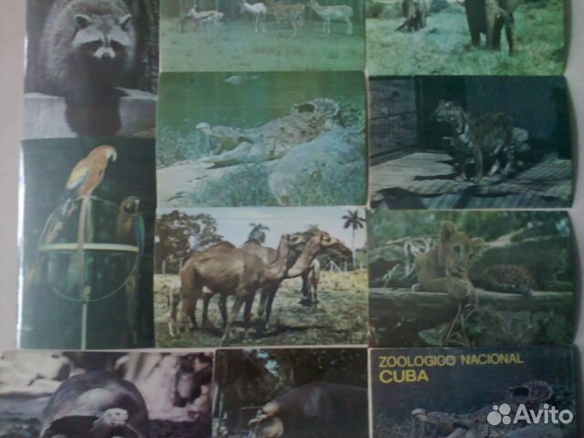 Открытки-Национал. Зоопарк Куба(комплект)