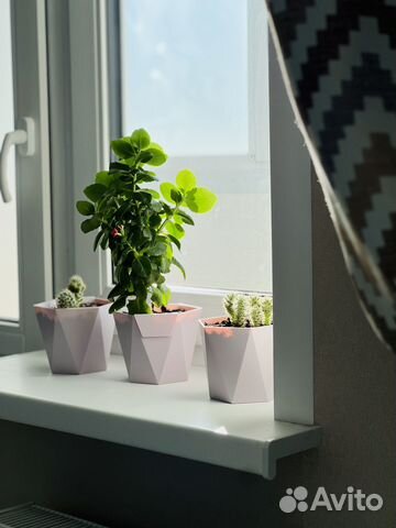 

1-к. квартира, 37 м², 1 кровать