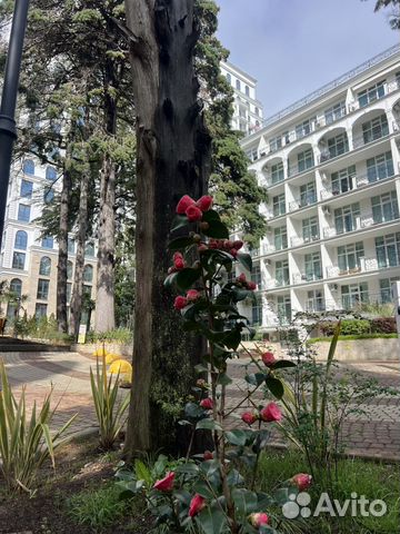 

Квартира-студия, 20 м², 1 кровать