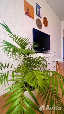 

1-к. квартира, 35 м², 2 кровати