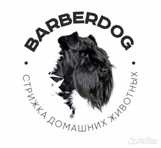 Barberdog. Стрижка собак в Улан-Удэ. Барбердог Ульяновск.