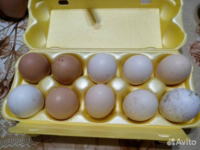 Яйца свежие