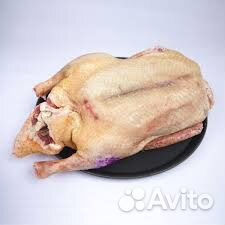 Мясо утки, филе, бедро, тушка охл., тушка зам., с Мясо утки, филе, бедро, тушка охл., тушка зам., с