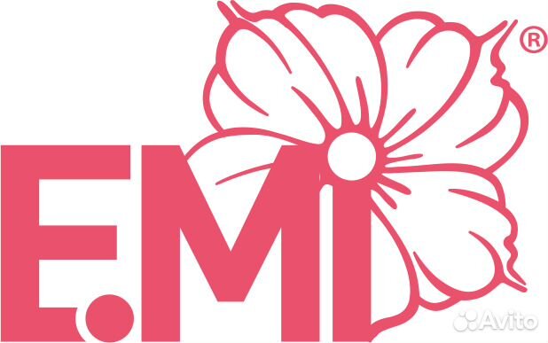 Emi school