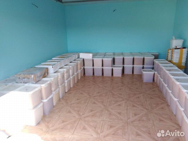 Мед опт/розница