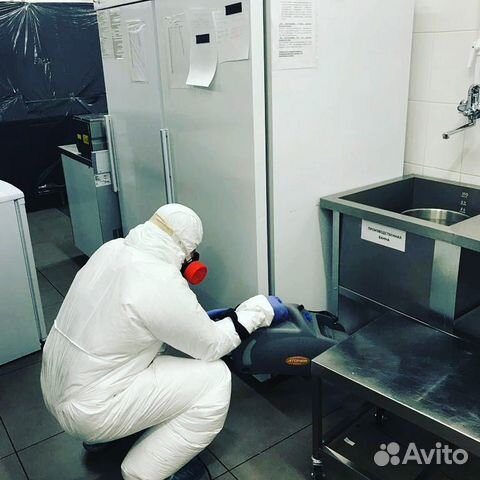 Уничтожение Клопов Тараканов Клещей Кротов Мышей Уничтожение Клопов Тараканов Клещей Кротов Мышей