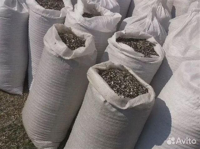 Ячмень пшеница подсолнечник в мешках купить на Зозу.ру - фотография № 2