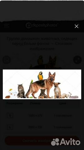 Всё всё всё для наших любимых животных купить на Зозу.ру - фотография № 6