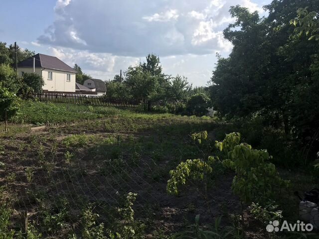 Деревня курнявцево брянск карта