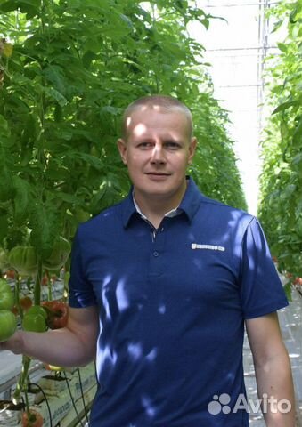 Мастер на час