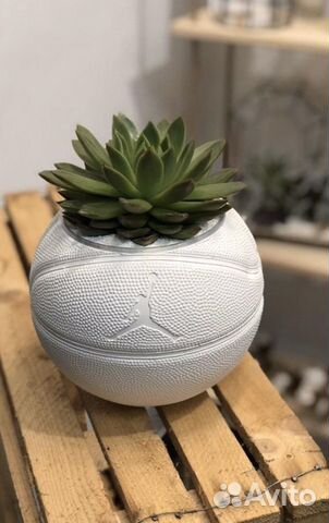 Кашпо мяч Jordan